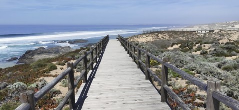 Wooden trail leads through vegetation with sea views in clear skies, hiking on the Fisherman's