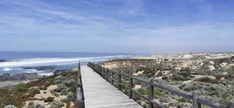 A wooden footbridge leads through vegetation along the coast, hiking on the Fisherman's Trail,