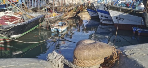 Colourful fishing boats moored in port, with ropes and calm water, Essaouira, Morocco