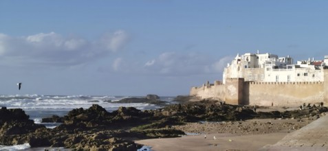 View of coastal landscape with city walls of Essaouira, waves and a small sandy beach with big