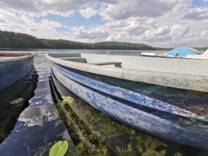 Rowing boat on Springsee on a cloudy day with green landscape, Dahme-Heideseen, Brandenburg