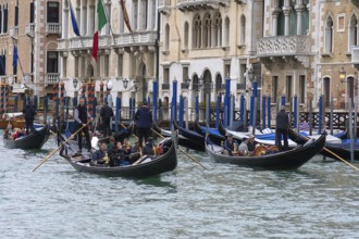 Gondola rides on the Grand Canal, Venice, Veneto, Italy