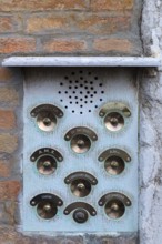 Brass bell buttons on a residential building, Venice, Veneto, Italy