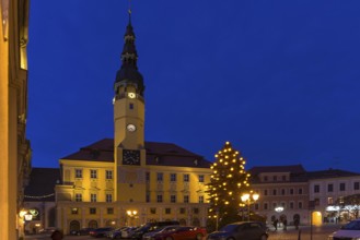 Evening atmosphere with 17th century town hall and illuminated Christmas tree, Bautzen, Upper