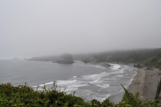 Misty coast with rocks and green shore, waves hitting the beach under a grey sky, Redwood National