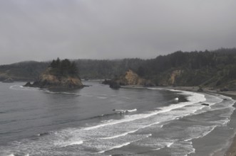 A rugged coastal landscape with islands in water surrounded by fog and waves, Redwood National