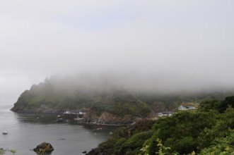 A misty coastal scene with calm water, small boats, and a wooded hill, Redwood National Park,