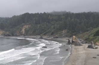 View of foggy beach with waves and rocks against a wooded, mystical background, Redwood National