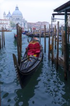 Gondolas anchor in the Grand Canal, Santa Maria della Salute in the back, Venice, Veneto, Italy