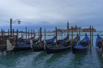 Anchorage for gondolas, at the back the island of San Giorgio Maggiore, Venice, Veneto, Italy