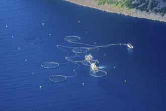 Salmon farm, fjord Ornfjorden, Senja island, Norway