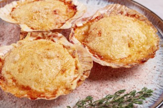 Scallop, baked in shells, with cheese and spices, on a plate, homemade