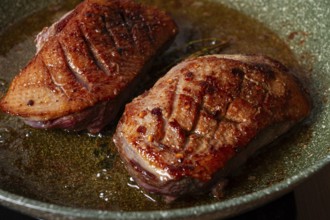 Cooking duck breast, in a frying pan, fried, with spices and herbs, close-up, no people