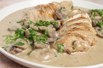 Chicken in cream sauce with mushrooms, on a plate, no people