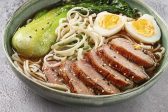 Ramen soup with duck and noodles, with eggs and bok choy, homemade, no people