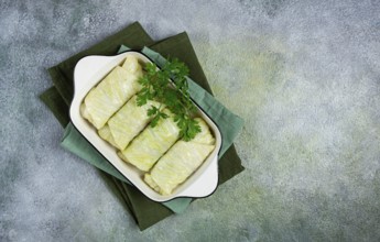 Raw cabbage rolls, not cooked, with minced meat, top view, without people, in the spotlight
