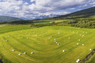 White wrapped hay bales in a green field, snow-covered mountains in the background, aerial view,