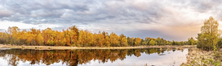 A quiet lake with autumnal moor forest on the shore reflecting the sky and clouds, Gildehauser
