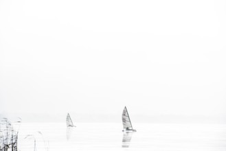 Ice sailor on frozen Dümmer Lake, Lembruch, Lower Saxony, Germany