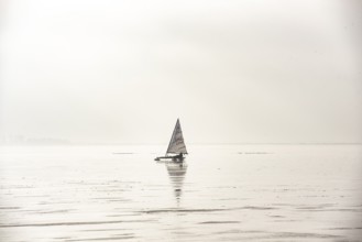 Ice sailor on frozen Dümmer Lake, Dümmer nature park Park, Lembruch, Lower Saxony, Germany