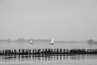 Two ice sailors on frozen Dümmer Lake, Lembruch, Lower Saxony, Germany