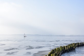 Ice sailor on frozen Dümmer Lake, shore with wooden structures, Lembruch, Lower Saxony, Germany