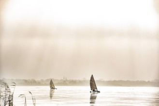 Ice sailor on the frozen Dümmer Lake in a sepia mood, Lembruch, Lower Saxony, Germany