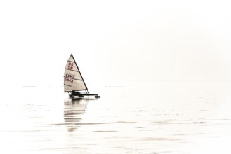 Ice sailor on the frozen Dümmer Lake on a brightly lit, minimalist-looking lake, Lembruch, Lower