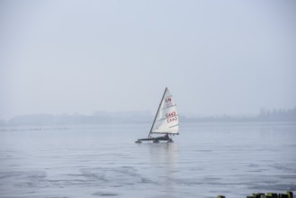 Ice sailor sailing on a clear and icy frozen Dümmer Lake, Lembruch, Lower Saxony, Germany
