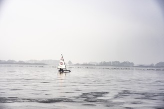 Ice sailor on a frozen lake covered in fog, quiet and peaceful winter landscape, Dümmer See,