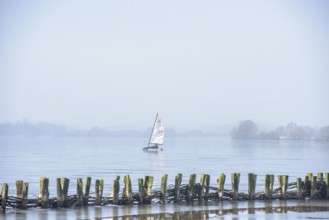 Ice sailor sails on a lake with wooden barriers in the foreground, blue sky, cold winter day on