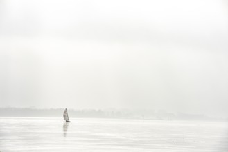 Ice sailors on foggy water, calm and melancholy atmosphere on frozen Dümmer See, Lembruch, Lower