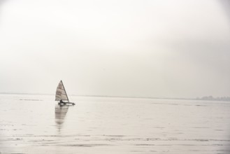Ice sailor glides across a foggy, frozen lake, quiet winter landscape on frozen Dümmer Lake,
