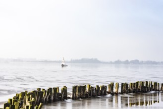 Ice sailor on frozen Dümmer Lake, wooden barriers on the shore, sunny winter day, Lembruch, Lower