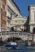 Mass tourism in front of the Bridge of Sighs, Venice, Veneto, Italy