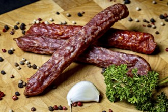 Salami on wooden board decorated with spices and garlic clove, crunchy pepper bite sausage
