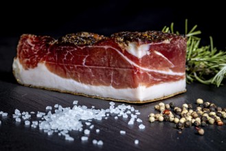 Fat bacon on a dark background with salt and spices, delicacy ham fresh from the butcher