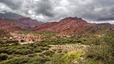 Red rock formations rise steeply above thick vegetation, the landscape and colorful rock formations