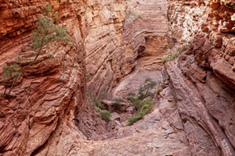 Red rock formations of a gorge with isolated vegetation create a wild natural image, rock formation