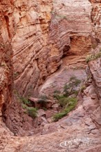 Impressive rock face with visible stratifications and limited vegetation, showing natural erosion,