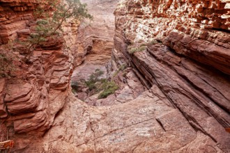 Deep gorge with red rocks and sparse vegetation, reveals the erosive forces of nature, rock