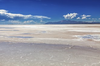 Extensive salt flat with mountains in the background under a blue sky, the Salar de Cauchari salt