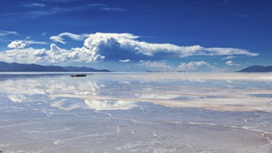 Wide view of a salt lake with cloud reflections in the water, The Salar de Cauchari salt pan near