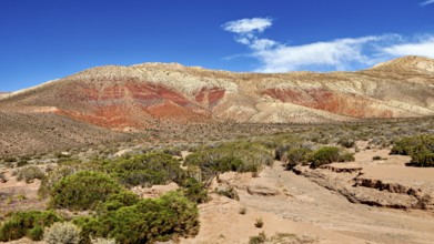 Red-brown hills in a sandy desert landscape under clear blue sky, the landscape and colorful rock
