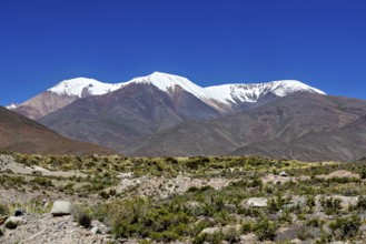 Snowy mountains tower over a barren desert landscape under clear skies, roads through the landscape