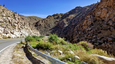 Road winds through rocky gorge in a sunny desert landscape, roads through the Quebrada de Cafayate