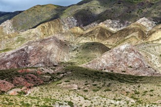 A fascinating view of mountains with diverse colors and lush vegetation, the landscape and colorful