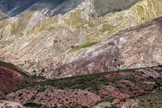 Mountains with diverse colors and natural patterns rise from the vegetation, the landscape and