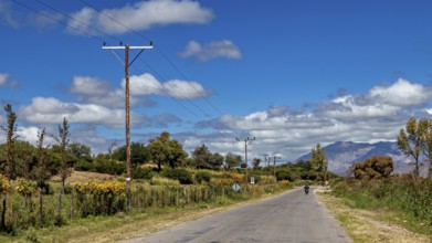 Rural road with electricity poles and trees under a cloudy blue sky, roads through the Quebrada de