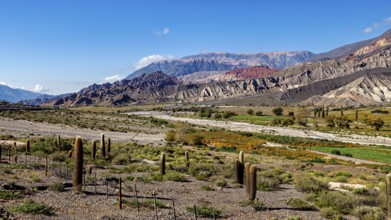 Vast desert landscape with cacti, mountains and a valley in the background, The landscape of the